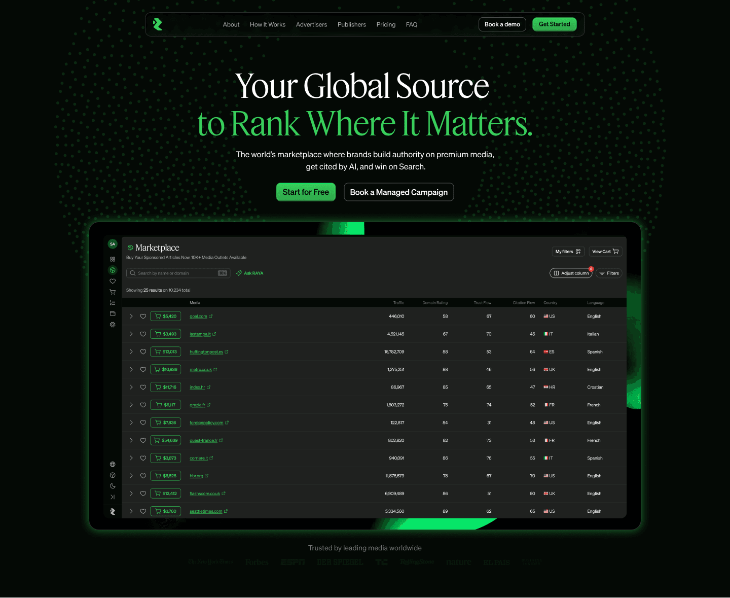 ranksource — hero section